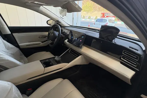 بی وای دی، چین L