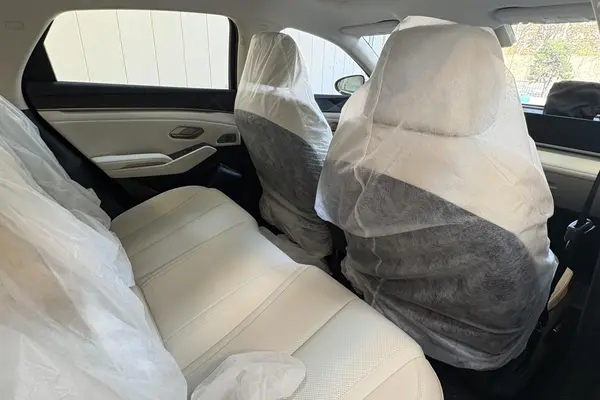 بی وای دی، چین L