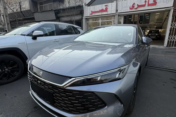 بی وای دی، چین L