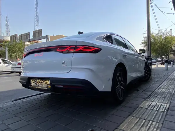 بی وای دی، چین L