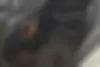 لکسوس  ES