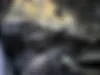 فولکس،  تیگوان