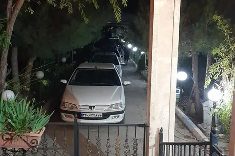 پژو، پارس