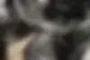کیا،  اسپورتیج
