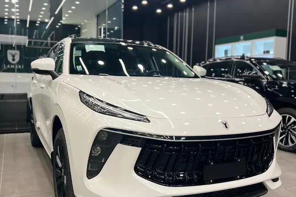 حواله لاماری، ایما