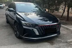 دانگ فنگ، شاین مکس