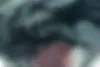 مزدا  3 وارداتی