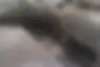 پراید  141