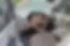 ام وی ام،  110