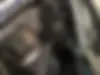 کیا  اپتیما