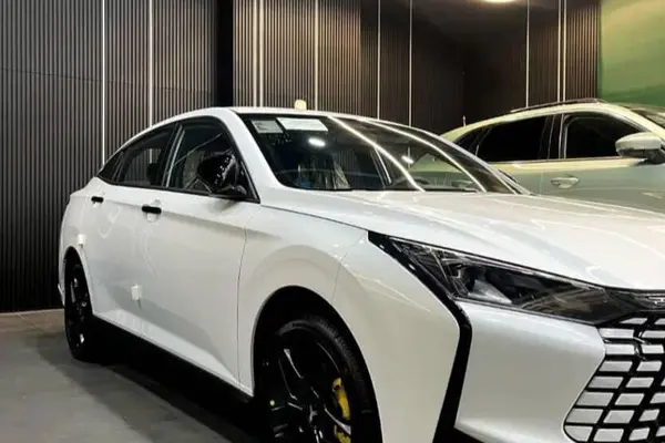 پیش فروش لاماری، اکو