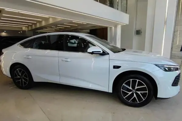 بی وای دی، چین ال DMi