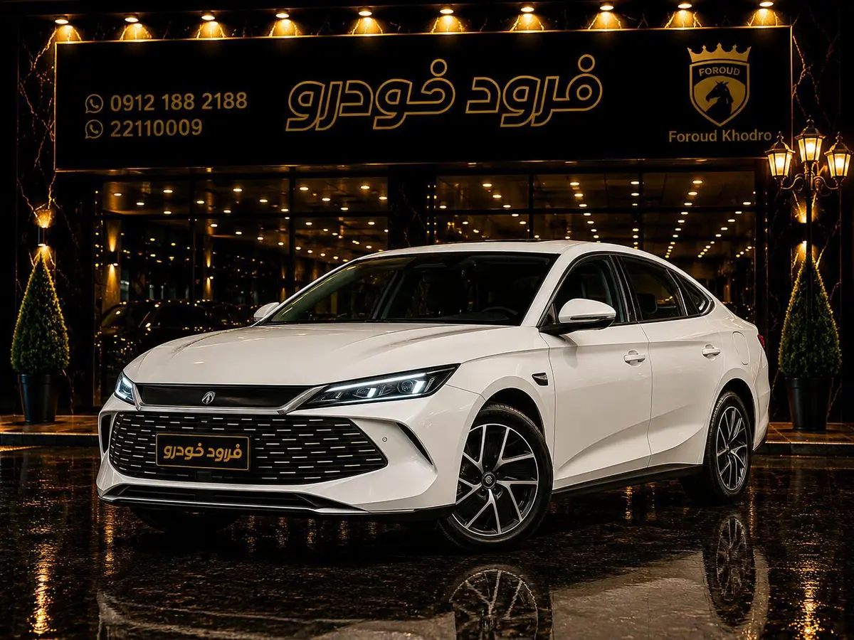 بی وای دی،  چین ال DMi
