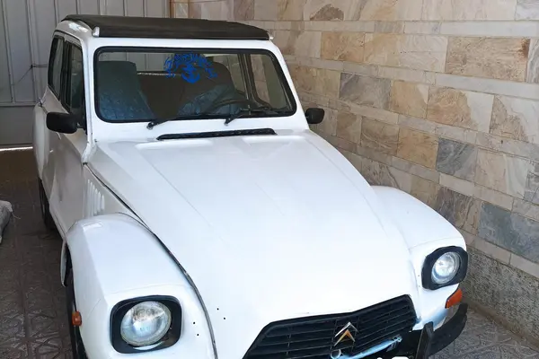 سیتروئن، ژیان