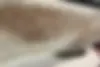 نیسان  ماکسیما