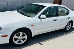 نیسان، ماکسیما
