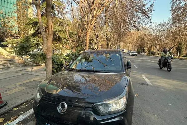 سانگ یانگ، تیوولی