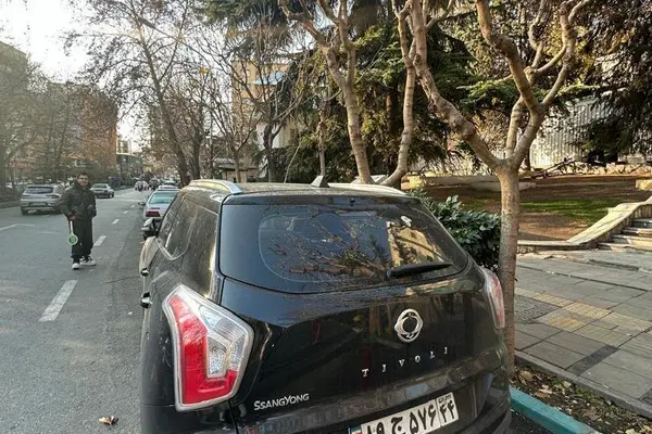 سانگ یانگ، تیوولی