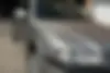 فولکس،  گل