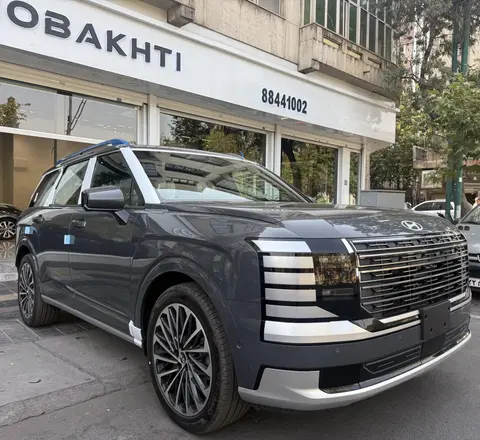 هیوندای، پالیسید