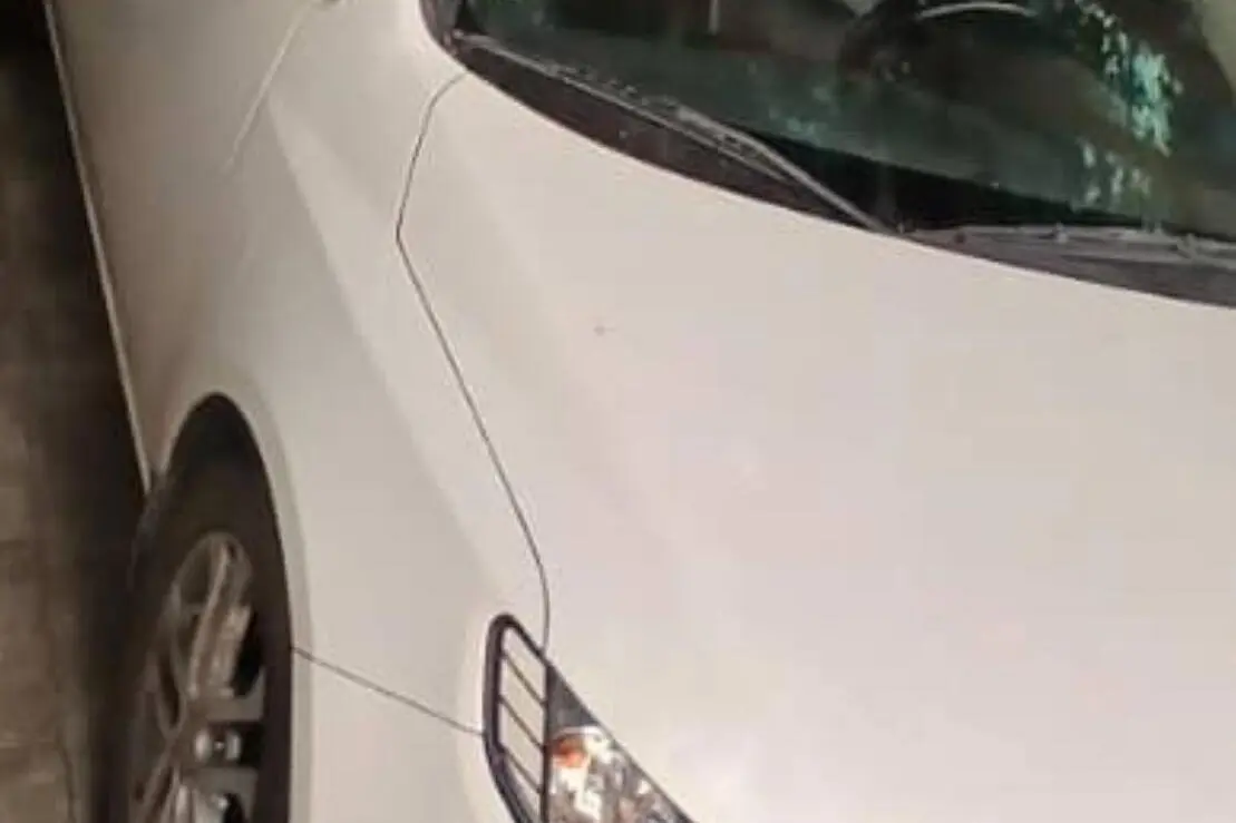 کیا  سراتو (مونتاژ)