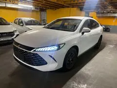 بی وای دی، چین پلاس DMi