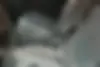 سمند،  LX