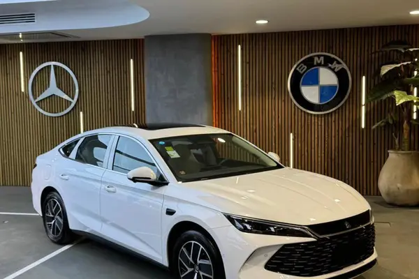 بی وای دی، چین L