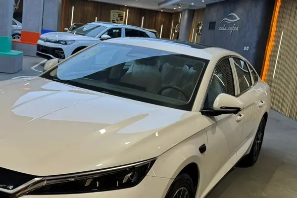 بی وای دی، چین L