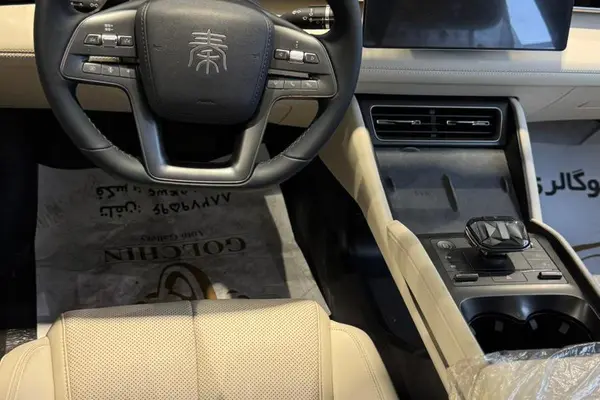 بی وای دی، چین L