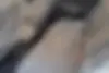 ساینا  S