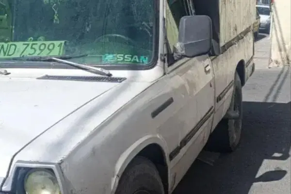 زامیاد، وانت نیسان