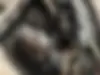 کیا  سراتو (مونتاژ)