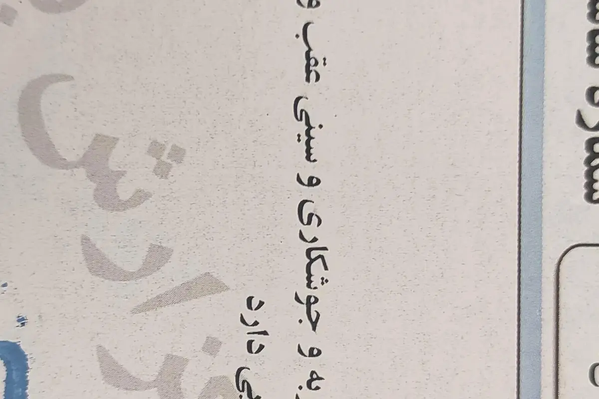 پژو،  206 SD