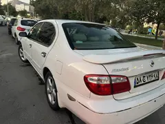 نیسان، ماکسیما