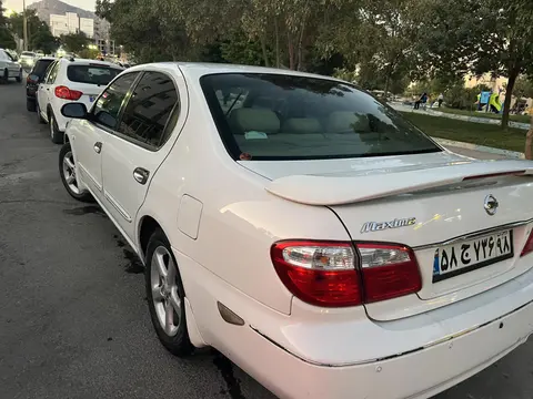 نیسان، ماکسیما