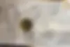 ب ام و  سری 7