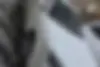 دنا،  پلاس EF7