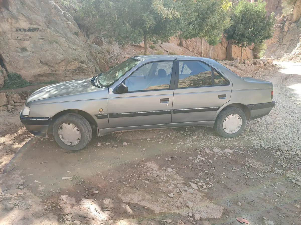 پژو  405