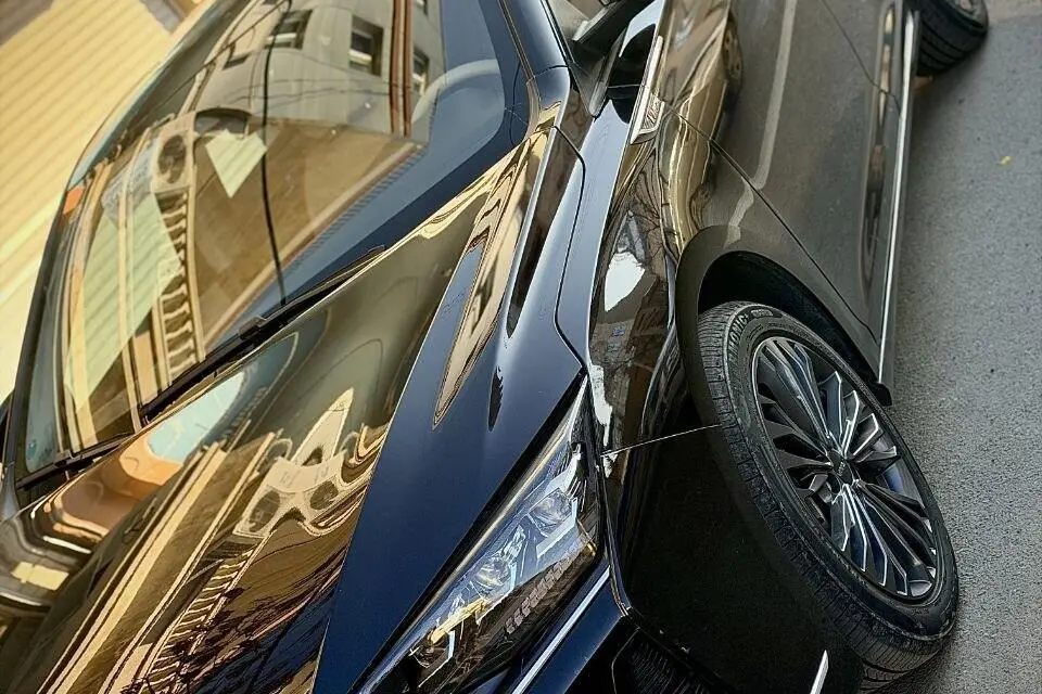 دانگ فنگ،  شاین مکس