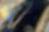 دانگ فنگ،  شاین مکس
