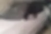 ام وی ام  X33 S