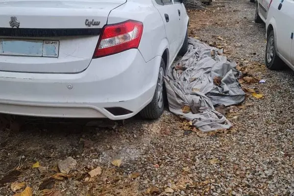 ساینا، EX دنده ای