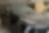 لاماری،  ایما