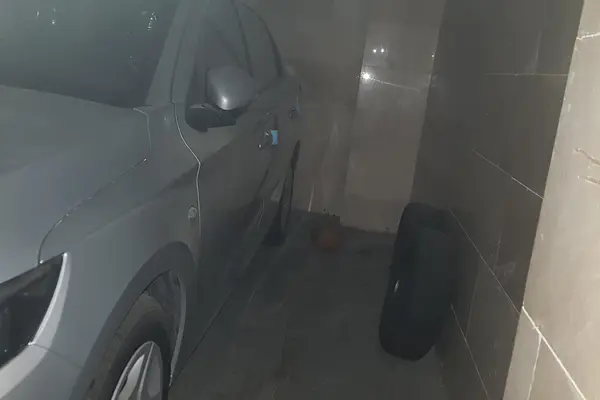 تارا، دنده ای V1