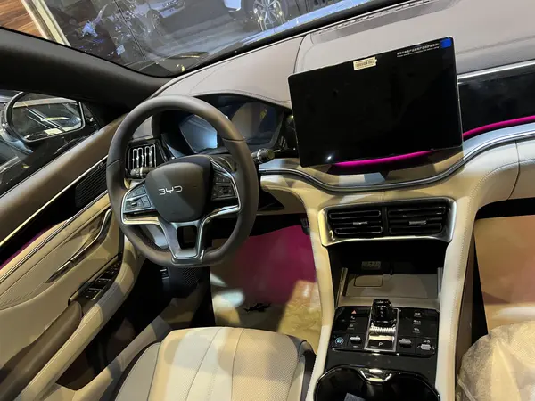 بی وای دی، سانگ پلاس DMi