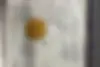 بنز،  کلاس S