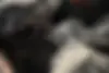 دنا،  پلاس EF7P
