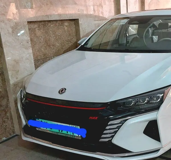 دانگ فنگ  شاین مکس