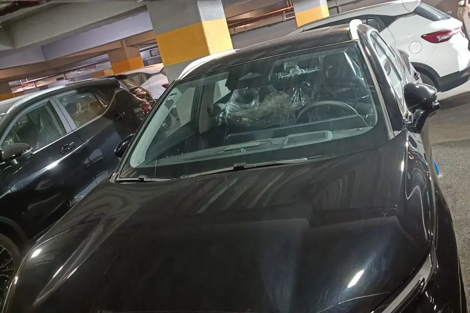 فونیکس،  FX EV